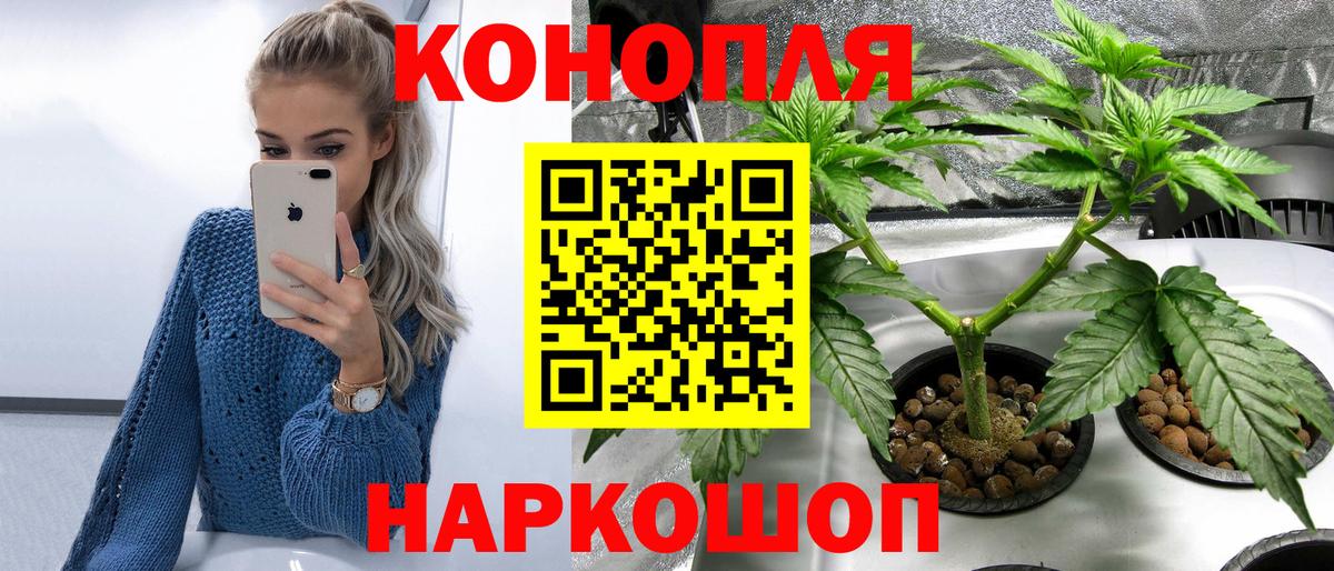 Курск  Шишки марихуана ГИДРОПОН  Шишки марихуана OG Kush  Каннабис Bruce Banner  Вход с VPN 